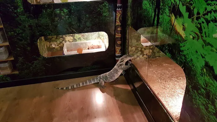 Reptile Hunters Picture 1