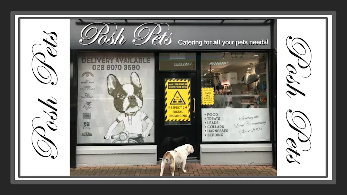 Posh Pets Picture 4