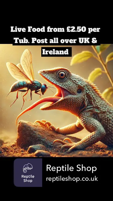 Reptile Shop Picture 1