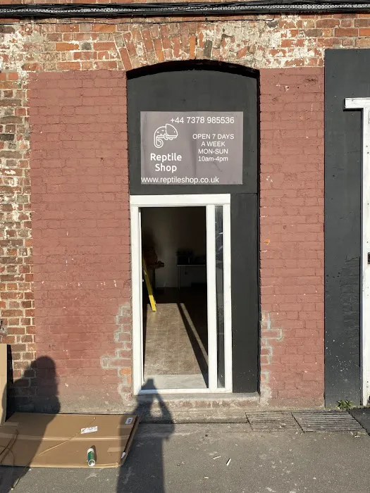 Reptile Shop Picture 2