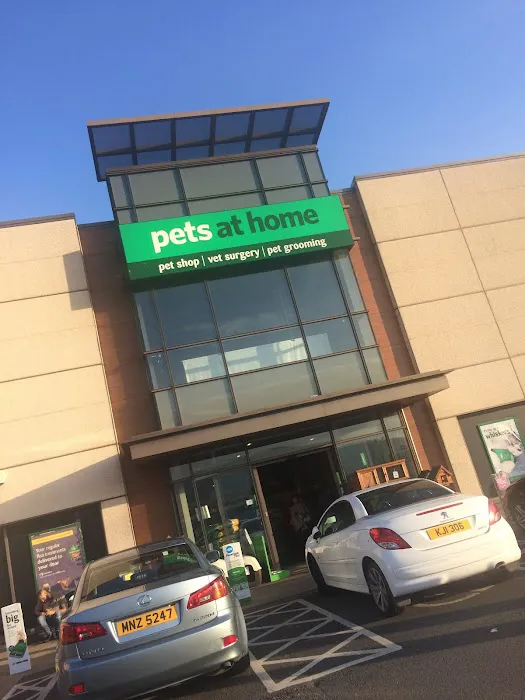 Pets at Home Belfast Picture 2