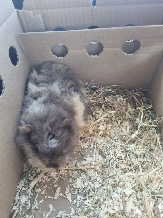 Pets at Home Belfast Picture 3