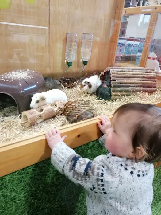 Pets at Home Belfast Picture 4