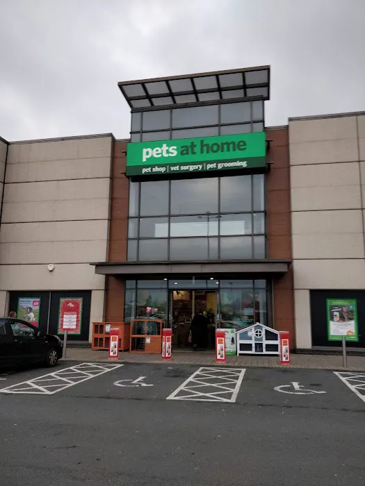 Pets at Home Belfast Picture 5