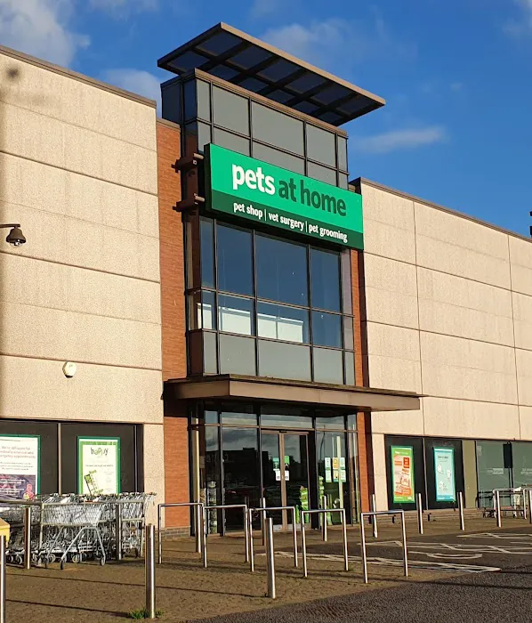 Pets at Home Belfast Picture 10