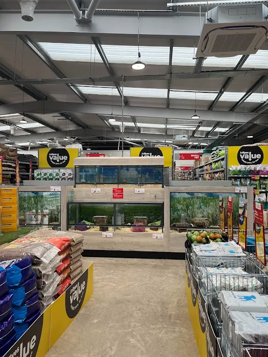 Jollyes - The Pet People Belfast Boucher Road Picture 10