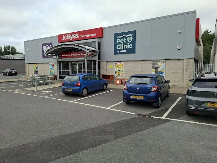 Jollyes - The Pet People Belfast Boucher Road Picture 8