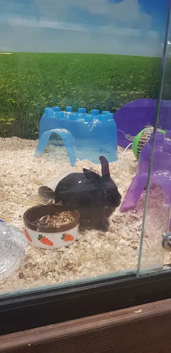 Jollyes - The Pet People Belfast Picture 9