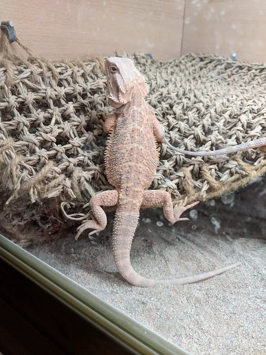 Pets at Home Newtownabbey Picture 3