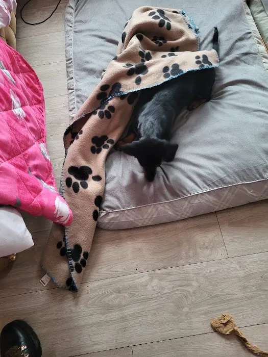 Pets at Home Newtownabbey Picture 8