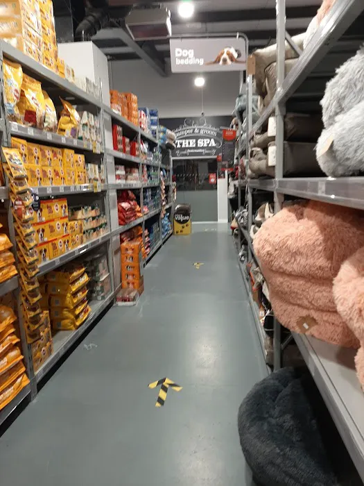 Jollyes - The Pet People Newtownabbey Picture 4