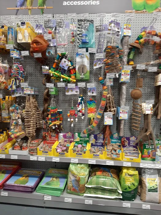 Jollyes - The Pet People Newtownabbey Picture 10