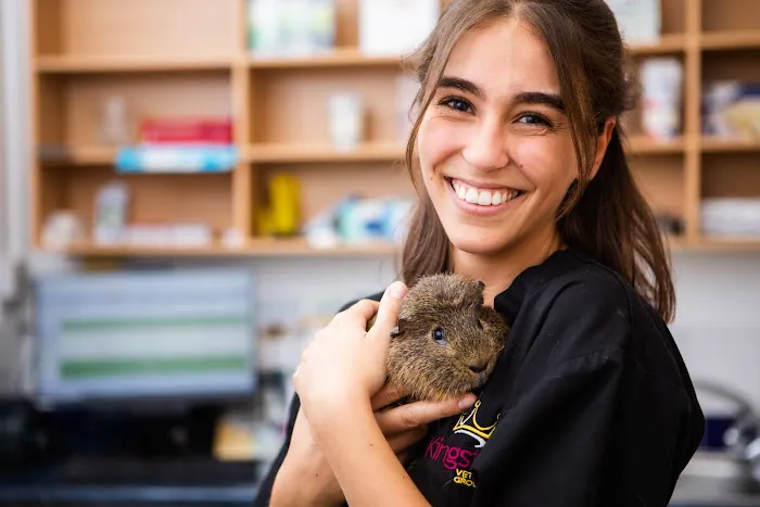 Kingston Veterinary Group Picture 1