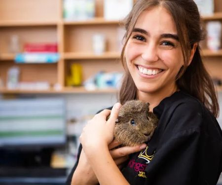 Kingston Veterinary Group