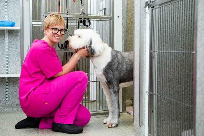 Kingston Veterinary Group Picture 2