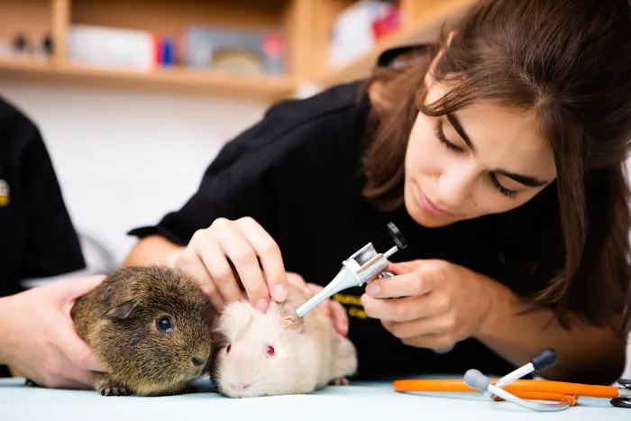 Kingston Veterinary Group Picture 9