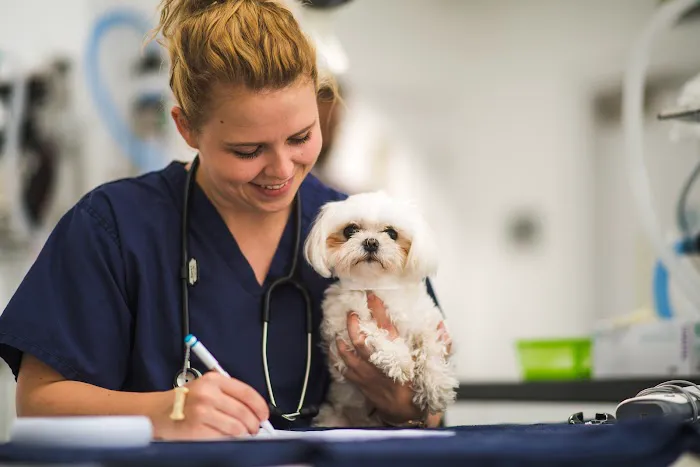 Kingston Veterinary Group Picture 10