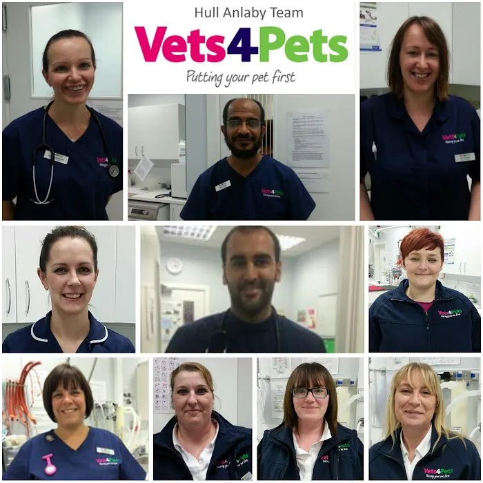Vets for Pets - Hull Anlaby Picture 4