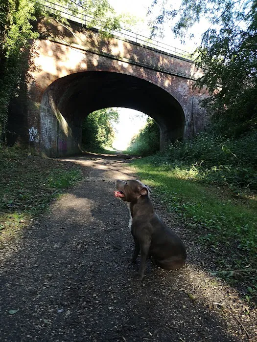 Medivet Beverley Picture 3