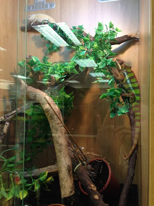 Bretts Pets Picture 3