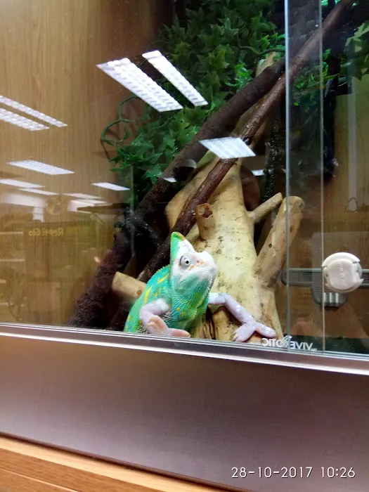 Bretts Pets Picture 6