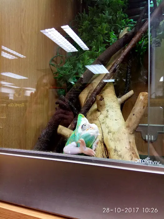 Bretts Pets Picture 9