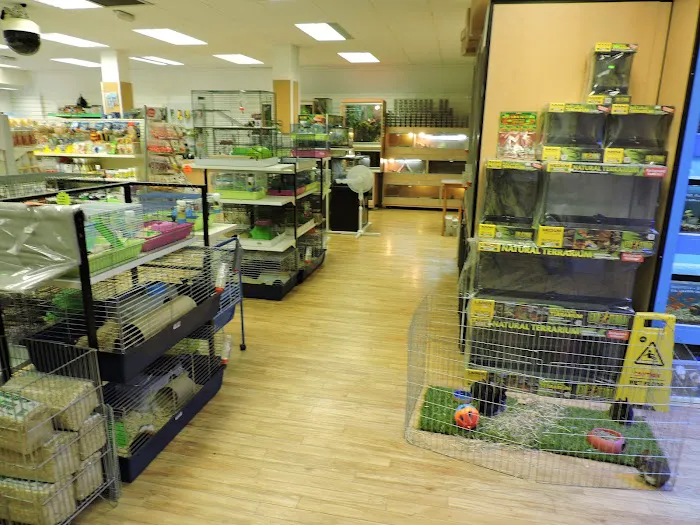 Bretts Pets Picture 8