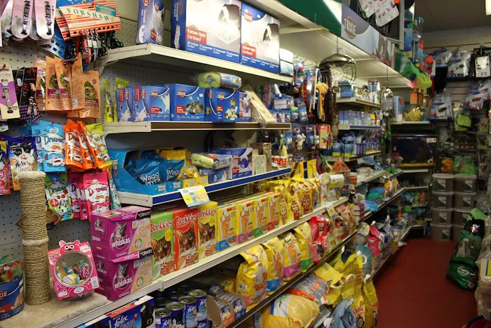 A1 Pets Place Picture 2