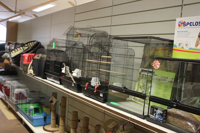 A1 Pets Place Picture 5