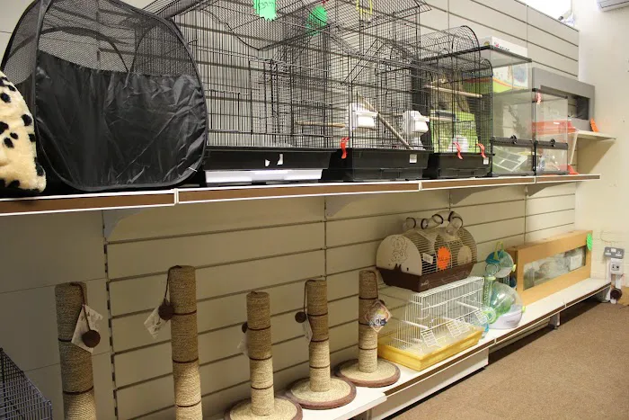 A1 Pets Place Picture 8