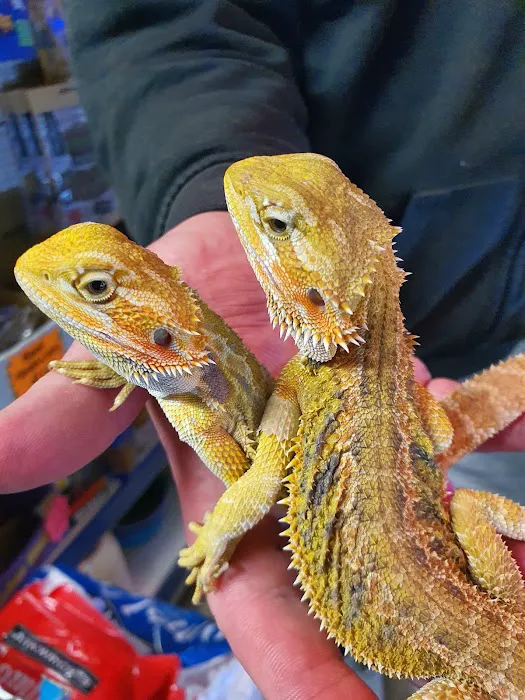 R & A Reptile & Pet Supplies Picture 1