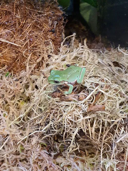 R & A Reptile & Pet Supplies Picture 3