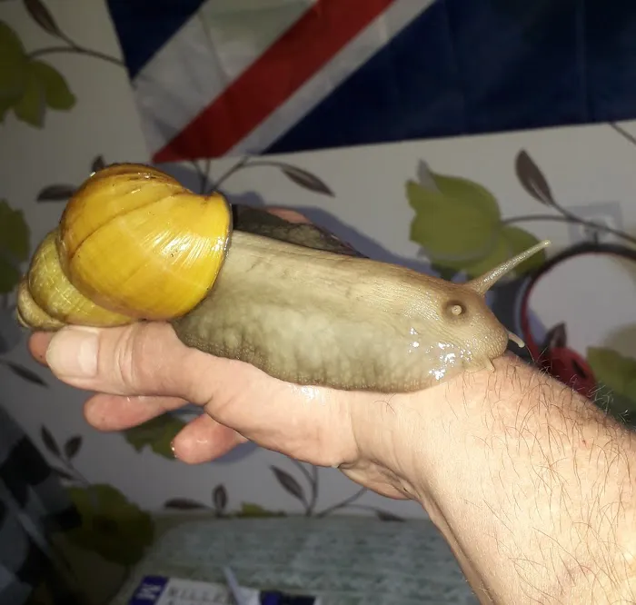 R & A Reptile & Pet Supplies Picture 10