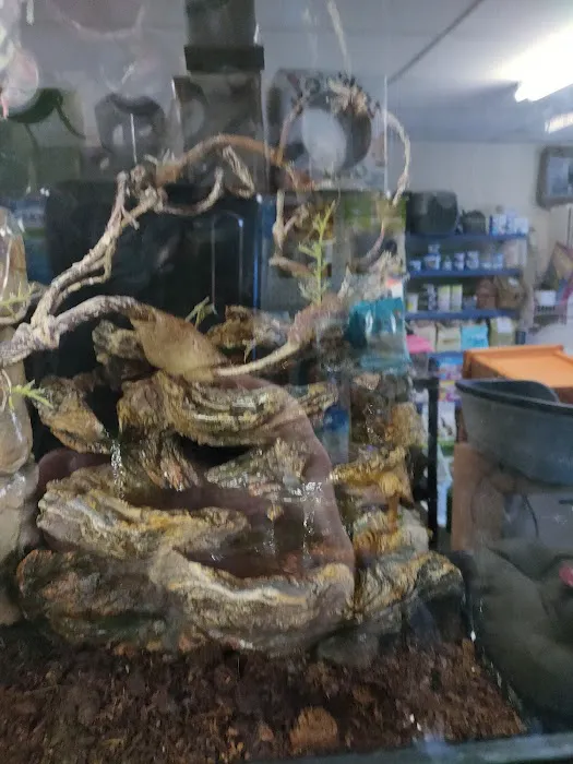 R & A Reptile & Pet Supplies Picture 8