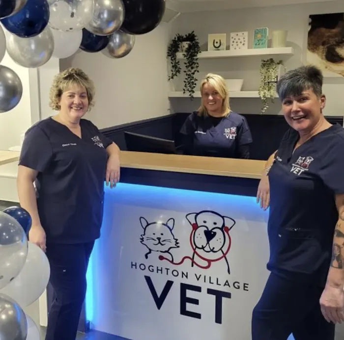 Hoghton Village Vet Picture 6
