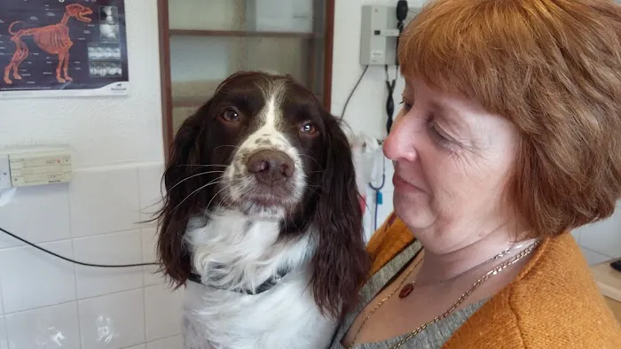 Medivet 24 Hour Chorley Picture 2