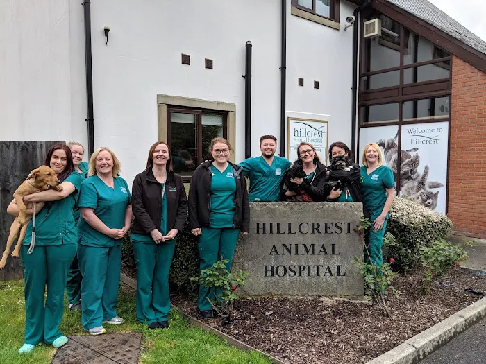 Medivet 24 Hour Chorley Picture 5