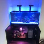 Aquatib