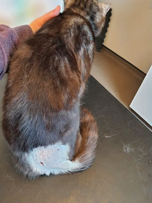Pinewood Veterinary Practice Picture 10
