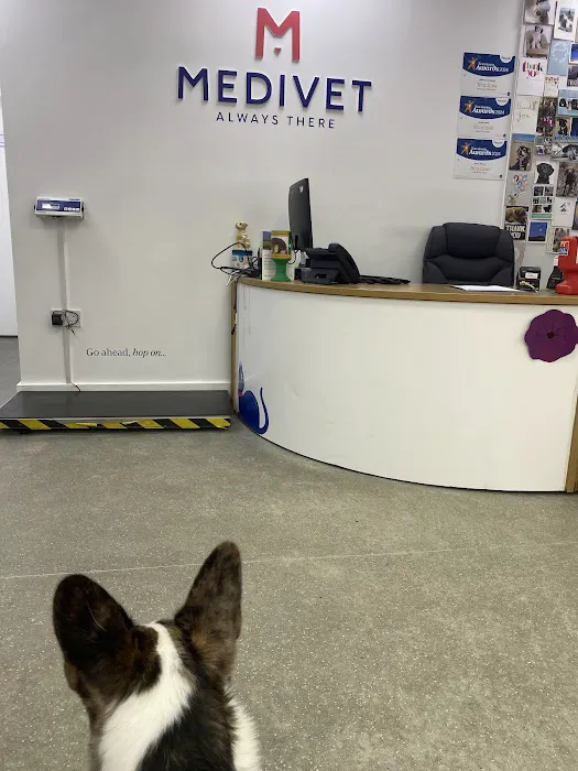 Medivet Adlington Picture 2