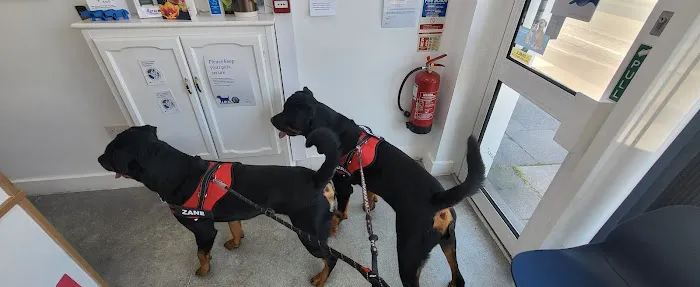 Medivet Adlington Picture 8
