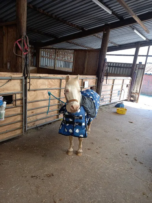 Gillivervet Picture 8