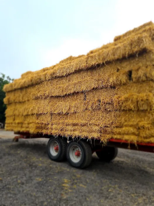 Natural treats for wiggle butts Picture 7