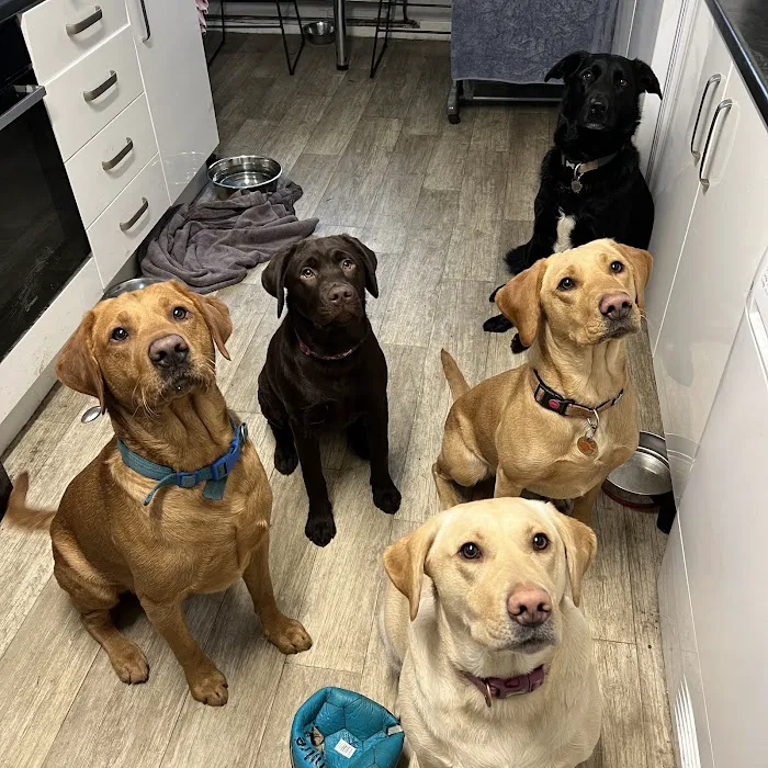 Jakes The Natural Choice For Pets Picture 4