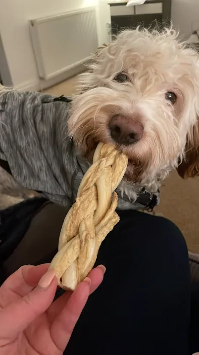 Jakes The Natural Choice For Pets Picture 9