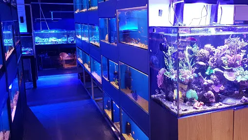 Clearly Aquatics Koi & Aquarium Supplies Picture 3