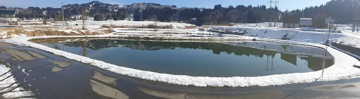 Irish Koi | Japanese Koi Northern Ireland Picture 6