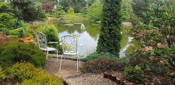 Irish Koi | Japanese Koi Northern Ireland Picture 5