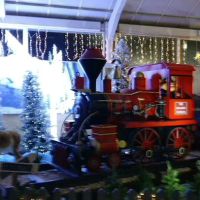 Maidenhead Aquatics Belfast ico