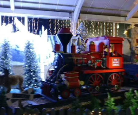 Maidenhead Aquatics Belfast